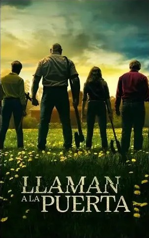 m7 - copia (10).webp